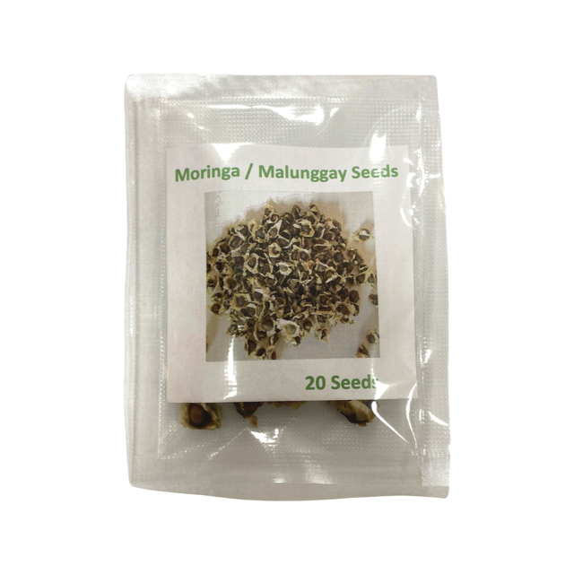 Malunggay / Moringa Seeds (20 seeds)