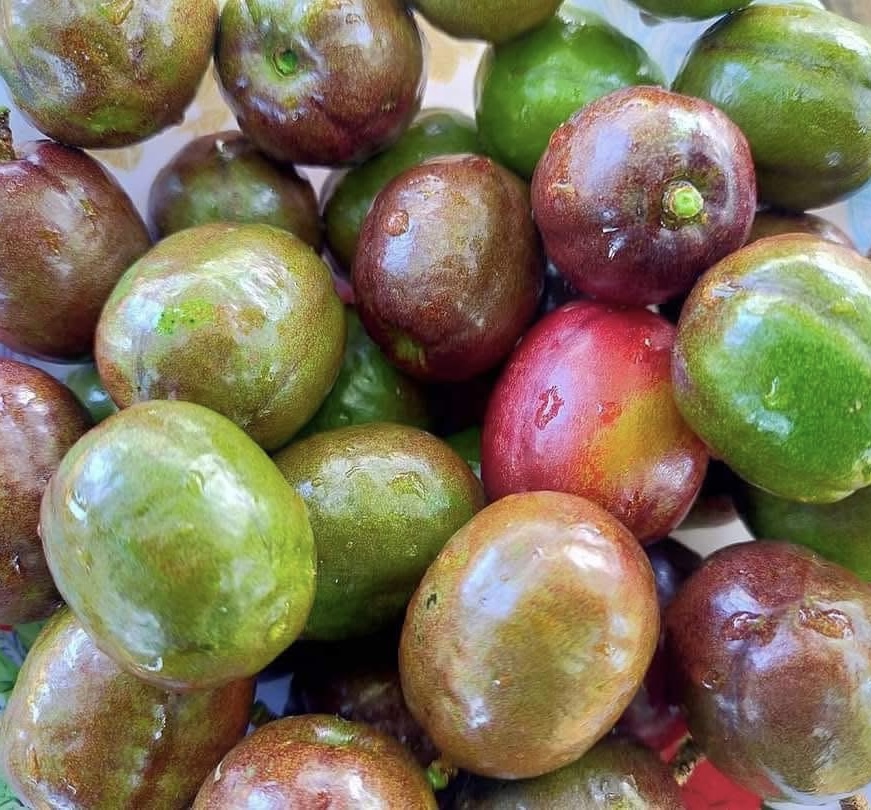 Sineguelas "Spanish Plum" (kg)